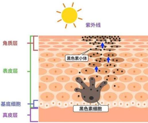 QQ截图20220211173117.jpg