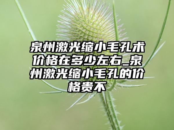 泉州激光缩小毛孔术价格在多少左右_泉州激光缩小毛孔的价格贵不