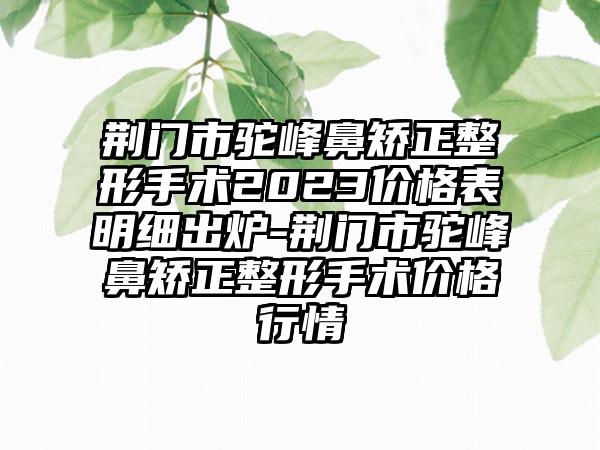 荆门市驼峰鼻矫正整形手术2023价格表明细出炉-荆门市驼峰鼻矫正整形手术价格行情