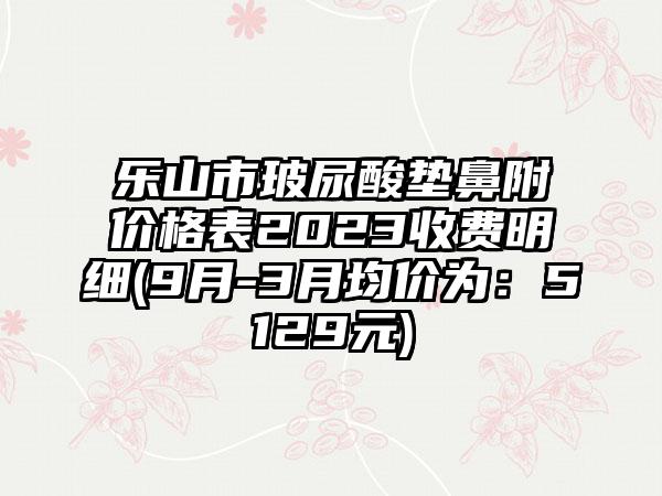 乐山市玻尿酸垫鼻附价格表2023收费明细(9月-3月均价为：5129元)