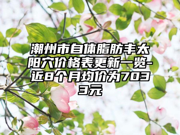 潮州市自体脂肪丰太阳穴价格表更新一览-近8个月均价为7033元