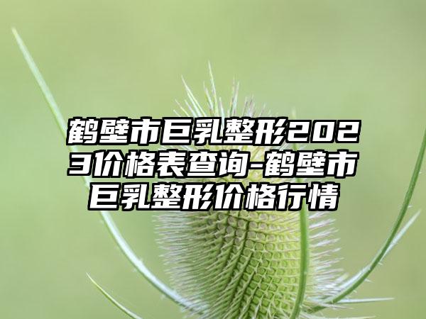 鹤壁市巨乳整形2023价格表查询-鹤壁市巨乳整形价格行情