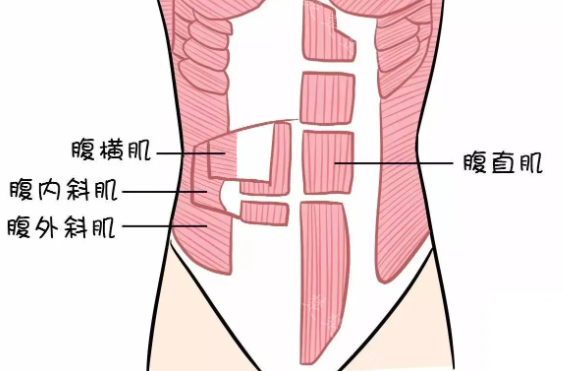 
生完孩子怎么收紧肚子？
