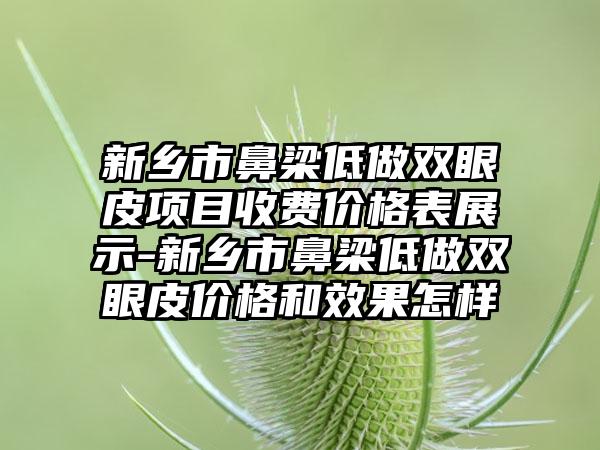 新乡市鼻梁低做双眼皮项目收费价格表展示-新乡市鼻梁低做双眼皮价格和效果怎样