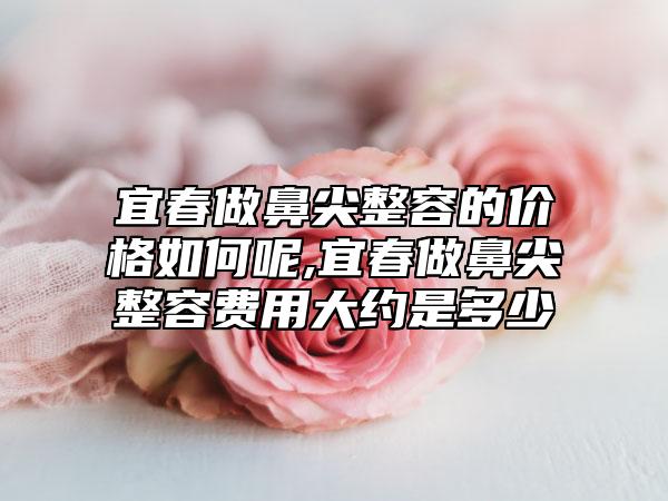 宜春做鼻尖整容的价格如何呢,宜春做鼻尖整容费用大约是多少