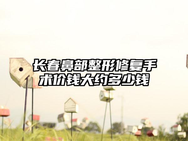 长春鼻部整形修复手术价钱大约多少钱