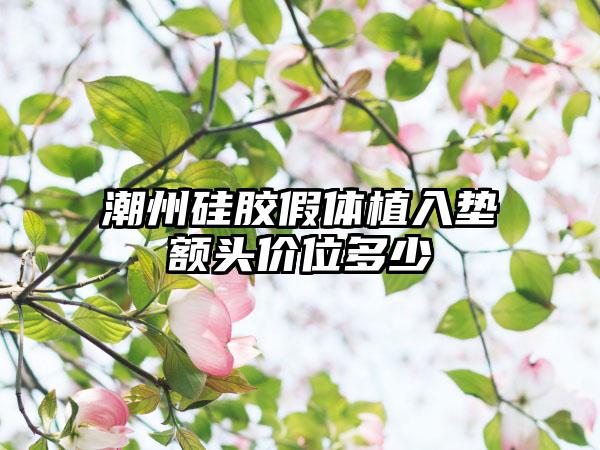 潮州硅胶假体植入垫额头价位多少