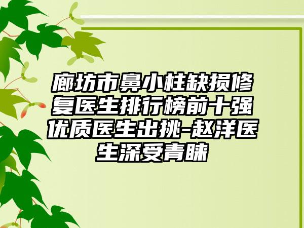 廊坊市鼻小柱缺损修复医生排行榜前十强优质医生出挑-赵洋医生深受青睐