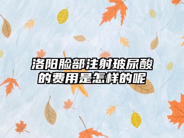 洛阳脸部注射玻尿酸的费用是怎样的呢